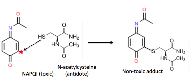 What Do Neutralizing Skunk Odor and Tylenol Poisoning Have in Common